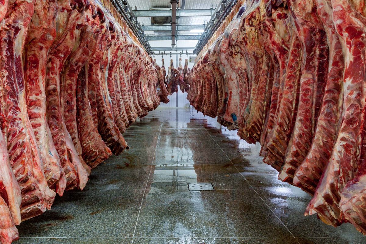 Abattoir